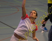 1BULLMINTON - 0582